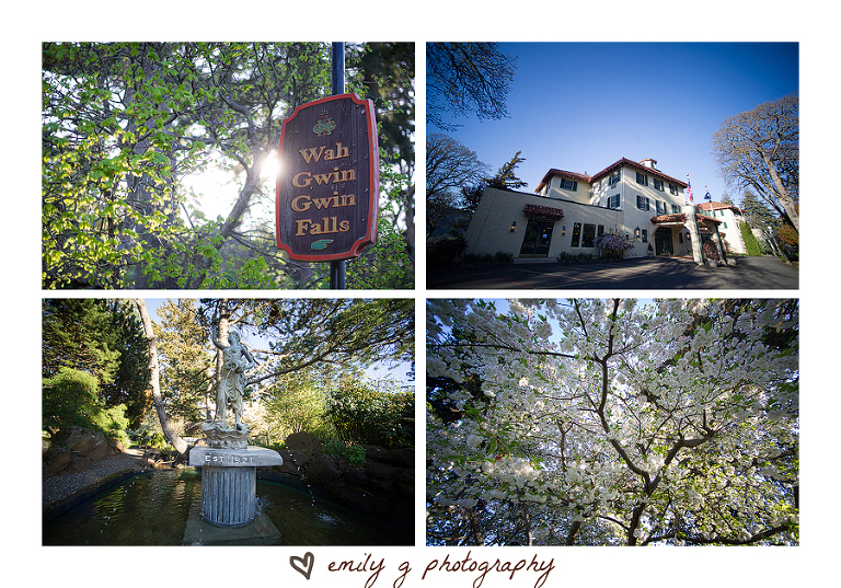 ColumbiaGorgeHotelWedding33