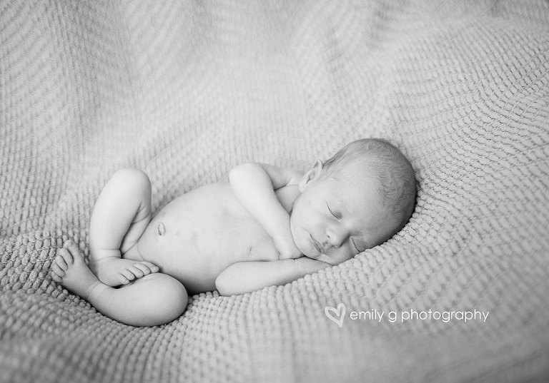 NewbornPhotographerPortland4