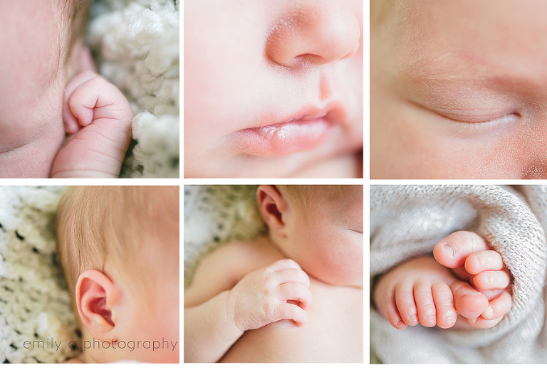 PortlandBabyPhotographer4