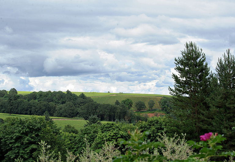 RedRidgeFarmsWedding33