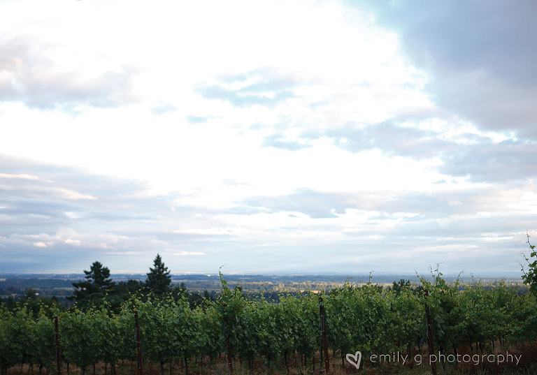 RedRidgeFarmsWedding49