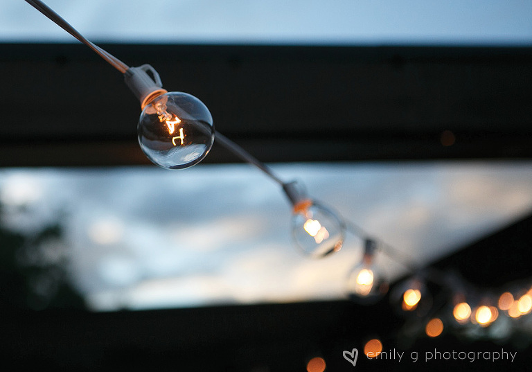 RedRidgeFarmsWedding51