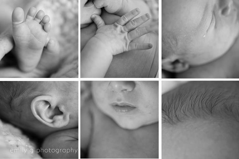 SeattleBabyPhotographer2