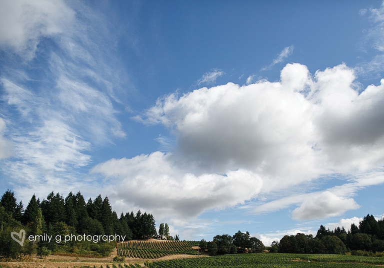 Dundee FamilyPhotographer16