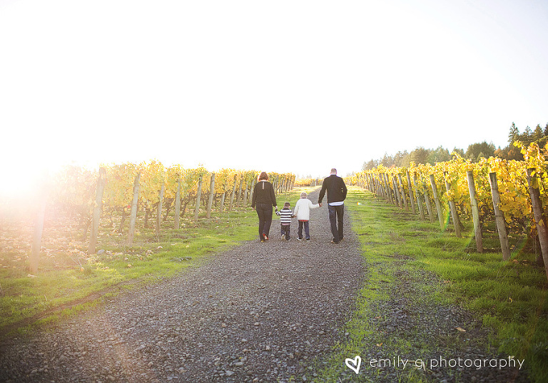 WineCountryFamilyPhotos4