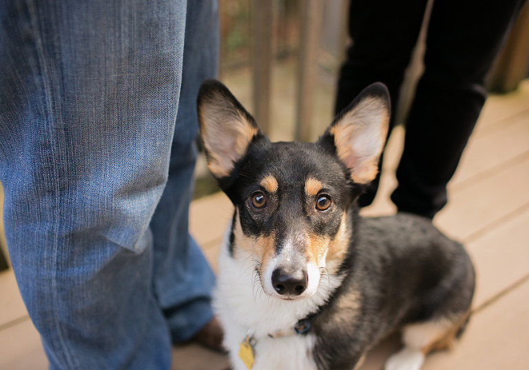 PortlandnewbornPhotographer8