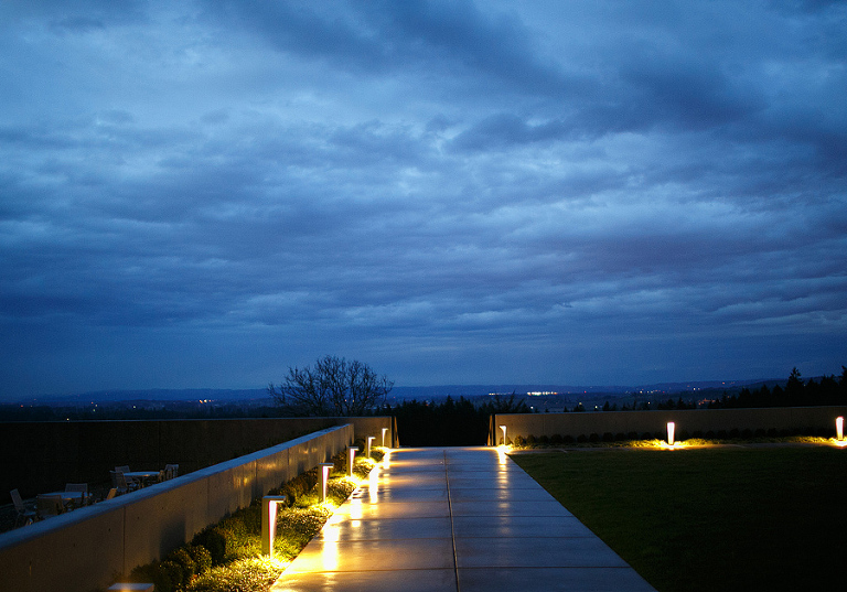 PonziVineyardWeddingPhotography42