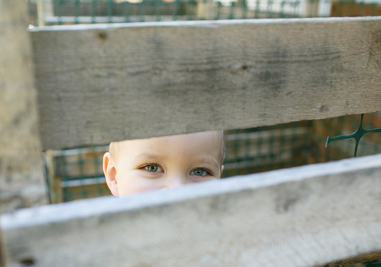 newbergBabyPhotographer15