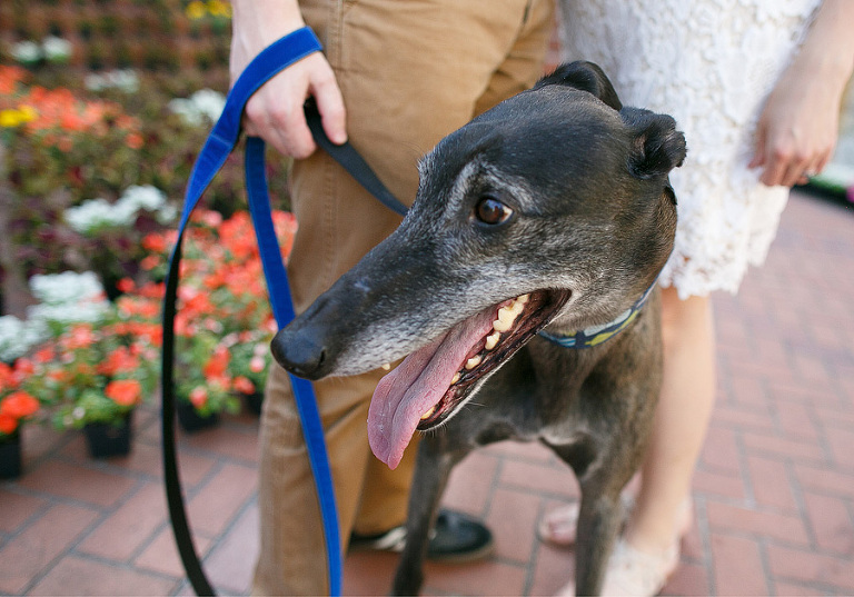 PortlandweddingPhotographer14