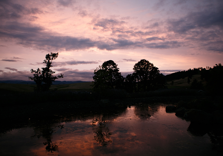 SaffronFieldsWedding54