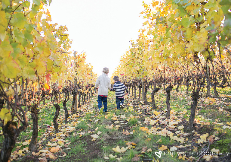 WineCountryFamilyPhotos13