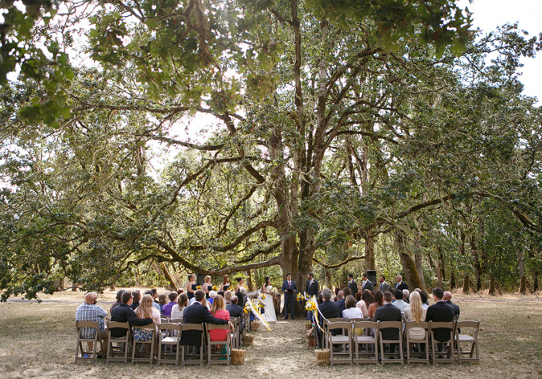 MountPisgahArboretumWedding27