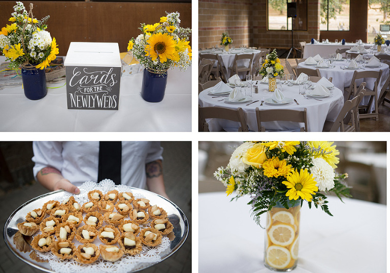 MountPisgahArboretumWedding33