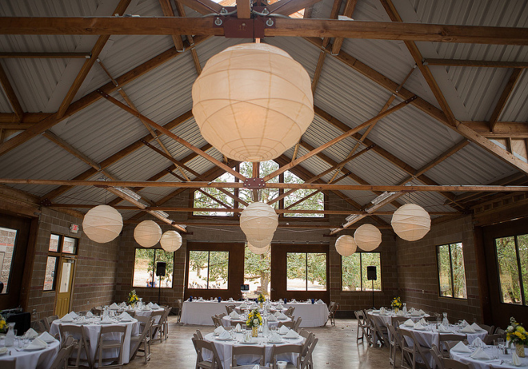 MountPisgahArboretumWedding34