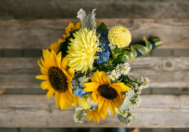 MountPisgahArboretumWedding41