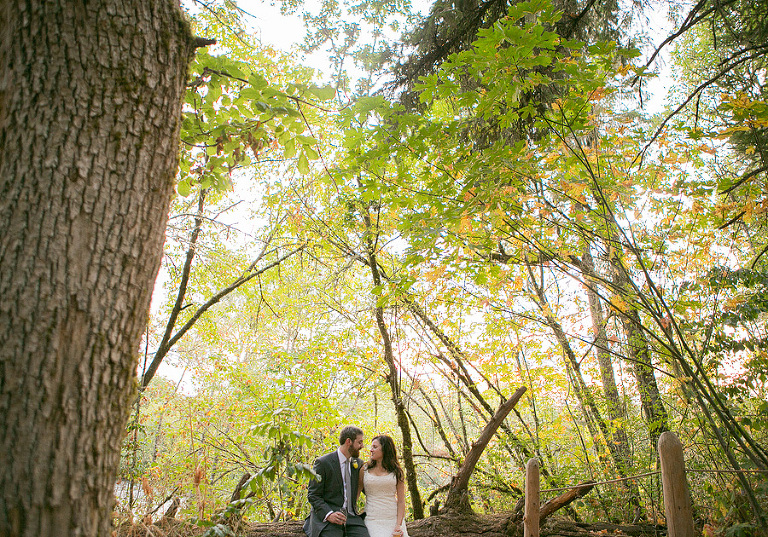 MountPisgahArboretumWedding44