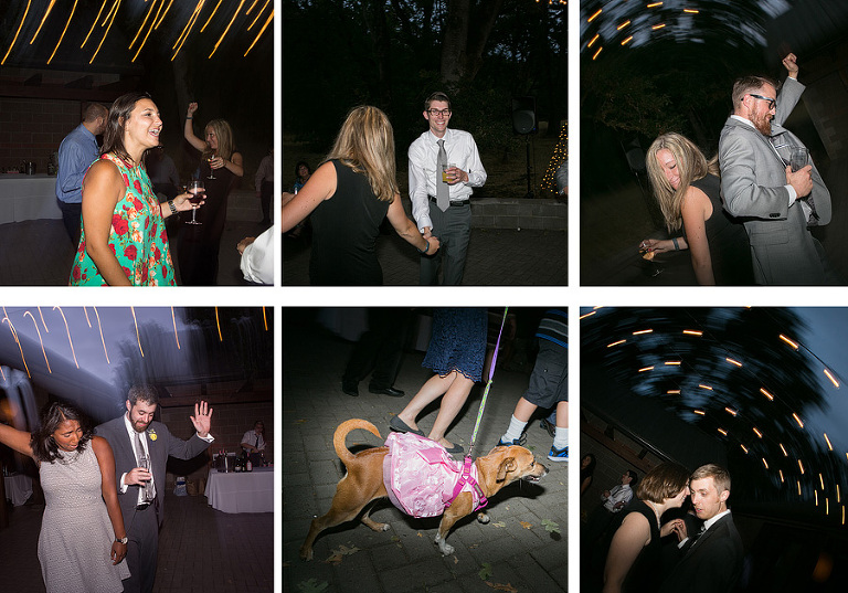 MountPisgahArboretumWedding48