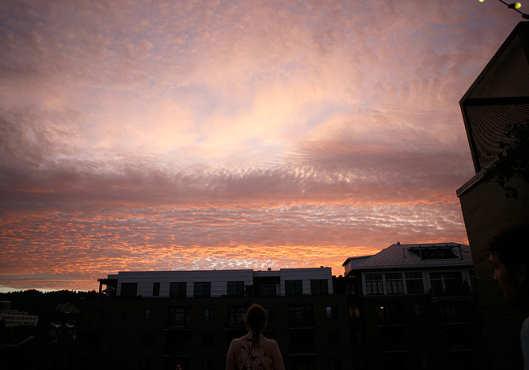 EcoTrustBuildingWedding23