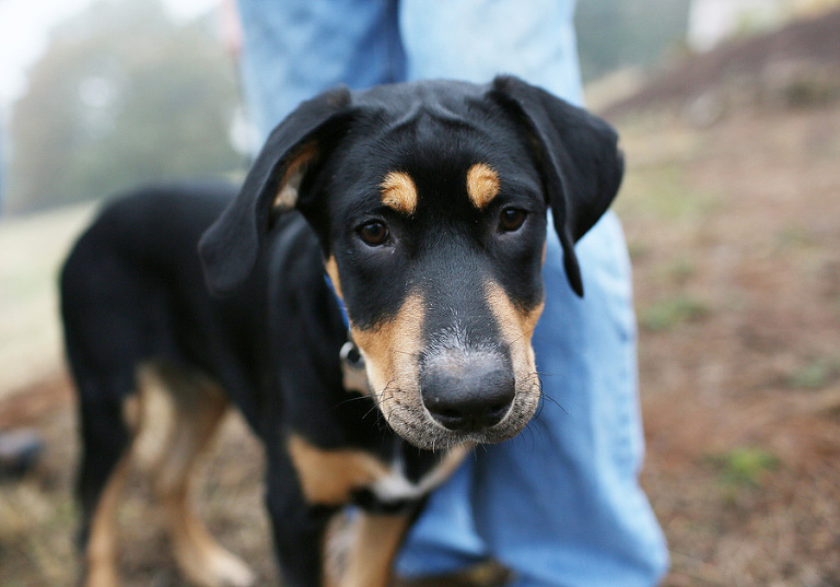 OBFamilyPhotographer5