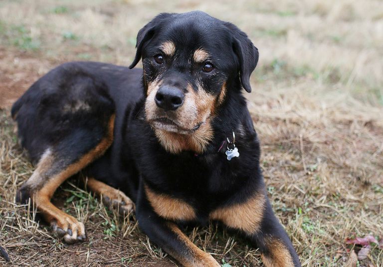 OBFamilyPhotographer6