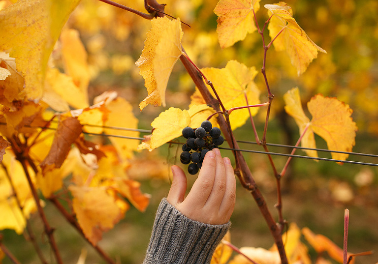 PortlandFamilyPhotographer14