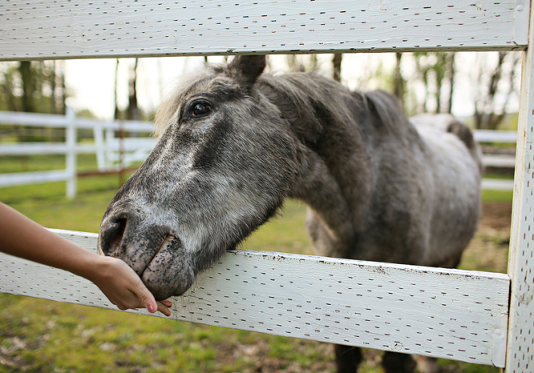 NewbergPhotographer10