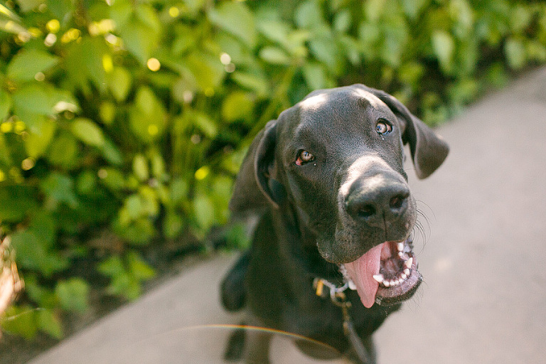 all images by emily g photography www.emilygphotography.com