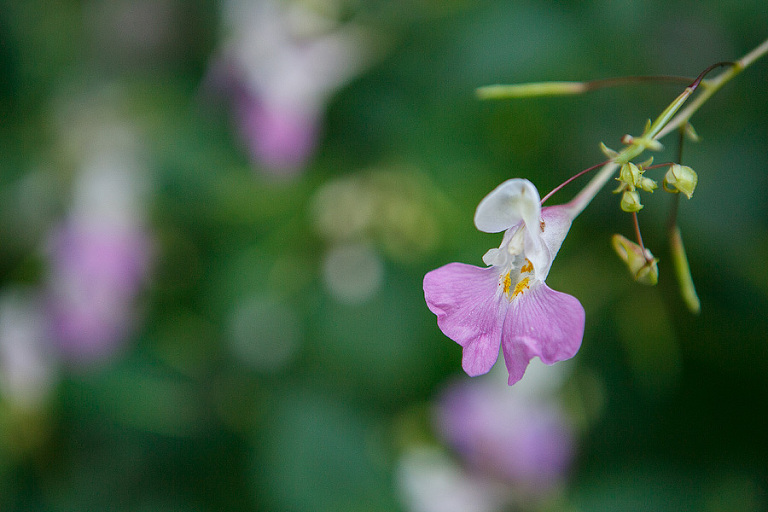 all images by emily g photography www.emilygphotography.com