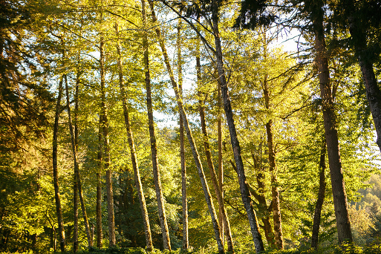 all images by emily g photography www.emilygphotography.com