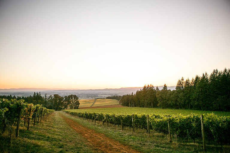 all images by emily g photography www.emilygphotography.com