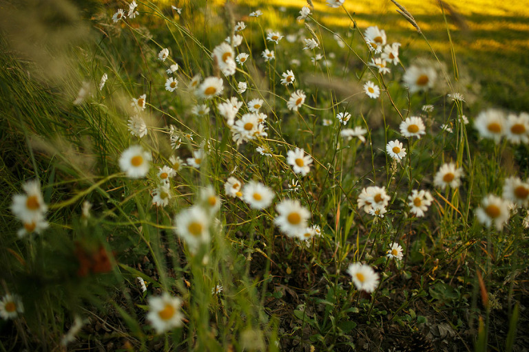 089-NorthPlainsOregonPhotographer