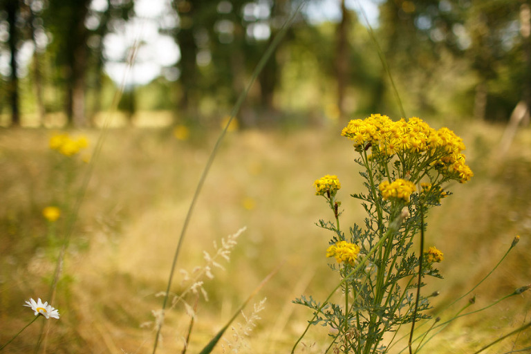 NewbergOregonPhotographer118