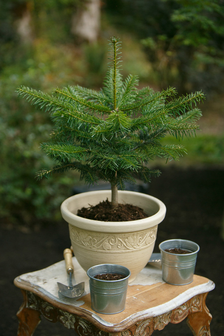 NewbergOregonPhotographer146