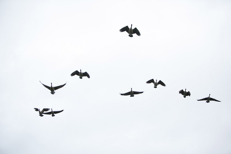 156-TheReserveWeddingOregon