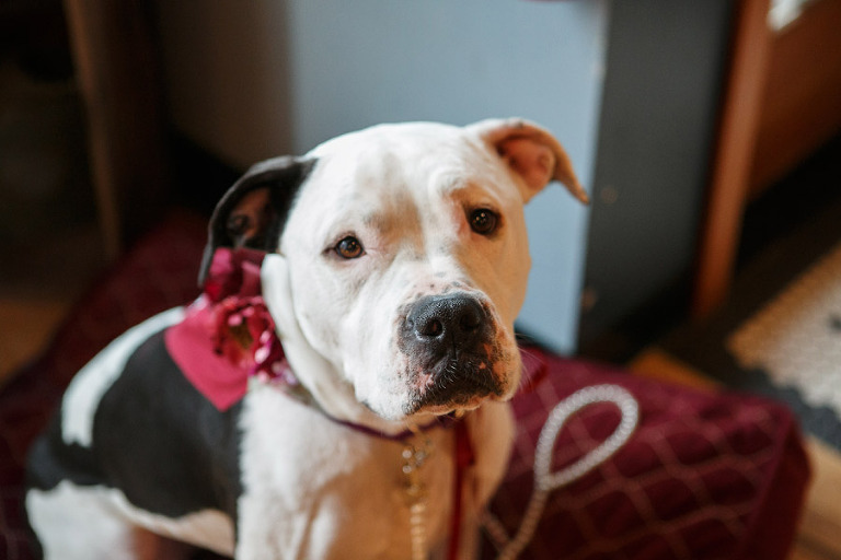 030-OregonCityWedding