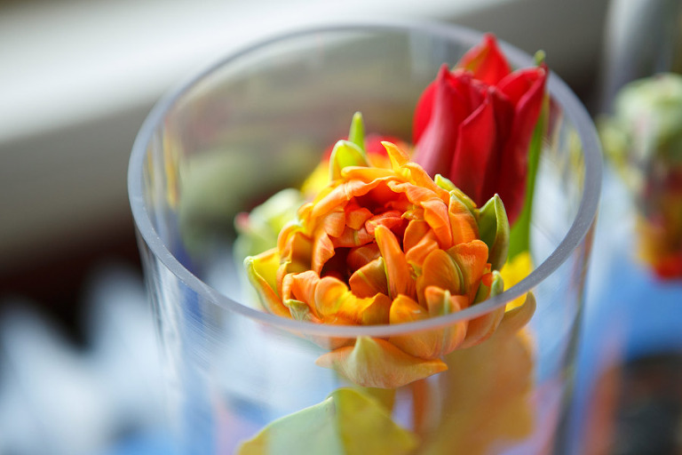 061-PortlandOregonPhotographer