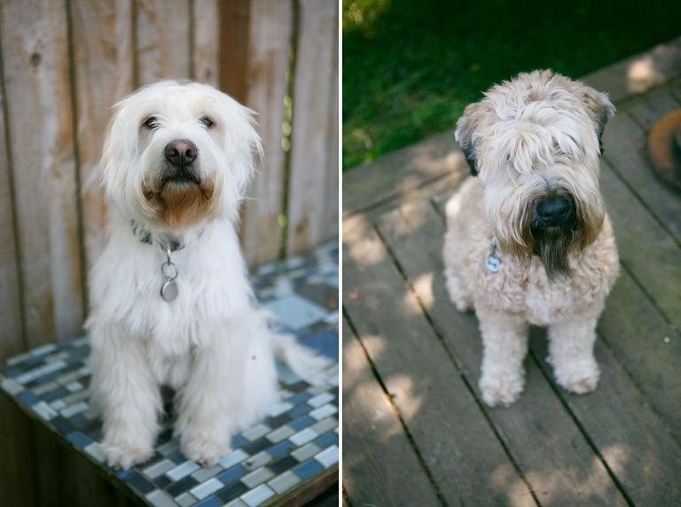 018-PortlandOregonBabyPhotographer