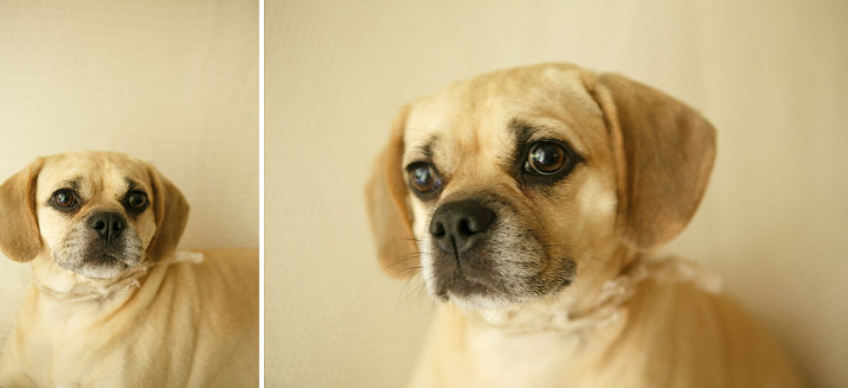 025-dundeeoregonphotographer