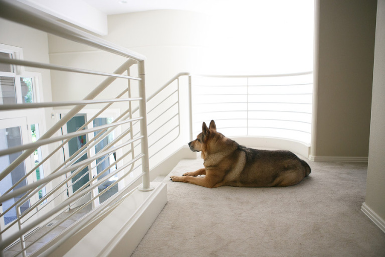 042-PortlandOregonChildPhotographer