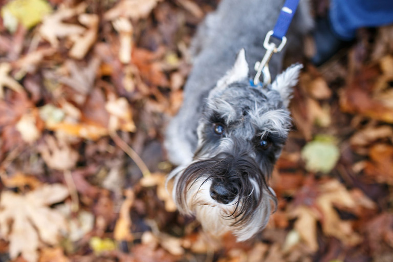102-NewbergFamilyPhotographer