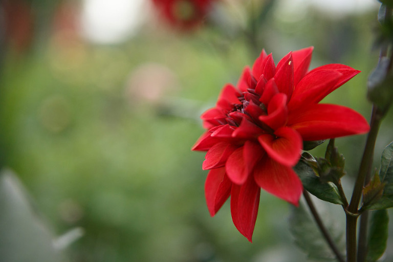 090-DundeeOregonPhotographer