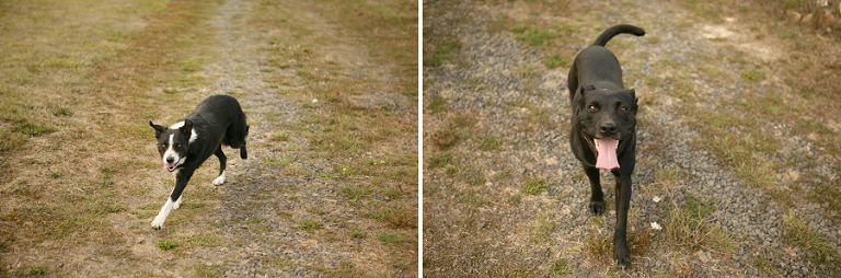 094-DundeeOregonPhotographer