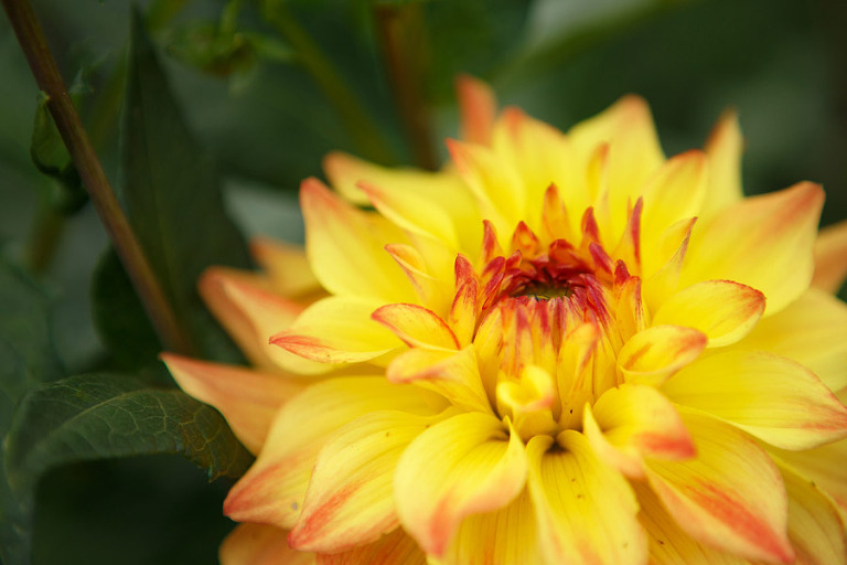 099-DundeeOregonPhotographer