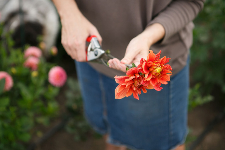 107-DundeeOregonPhotographer