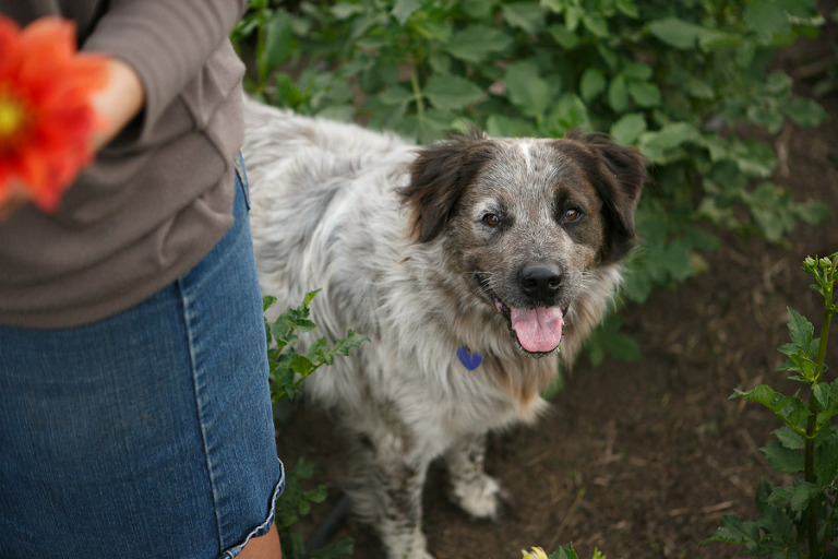 108-DundeeOregonPhotographer