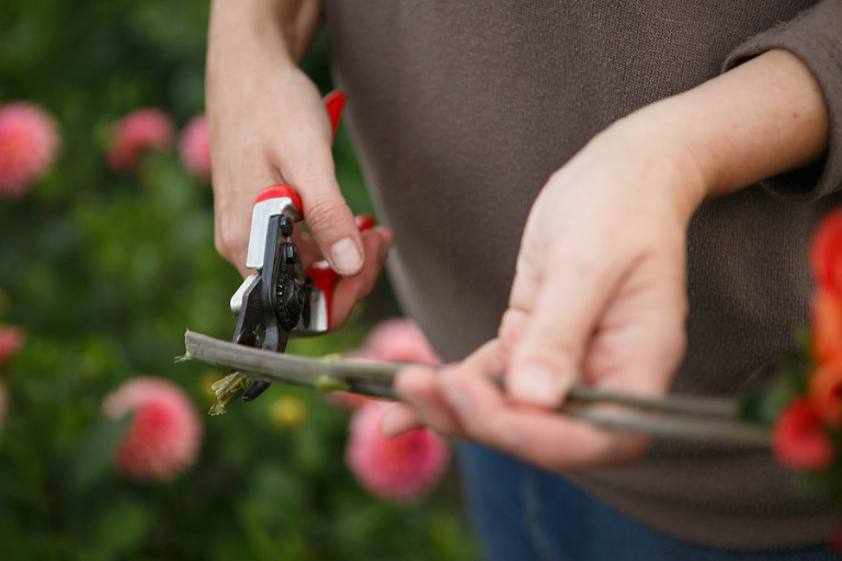 109-DundeeOregonPhotographer