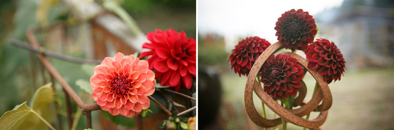 117-DundeeOregonPhotographer