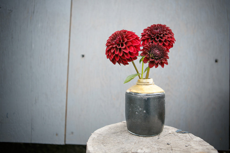 118-DundeeOregonPhotographer