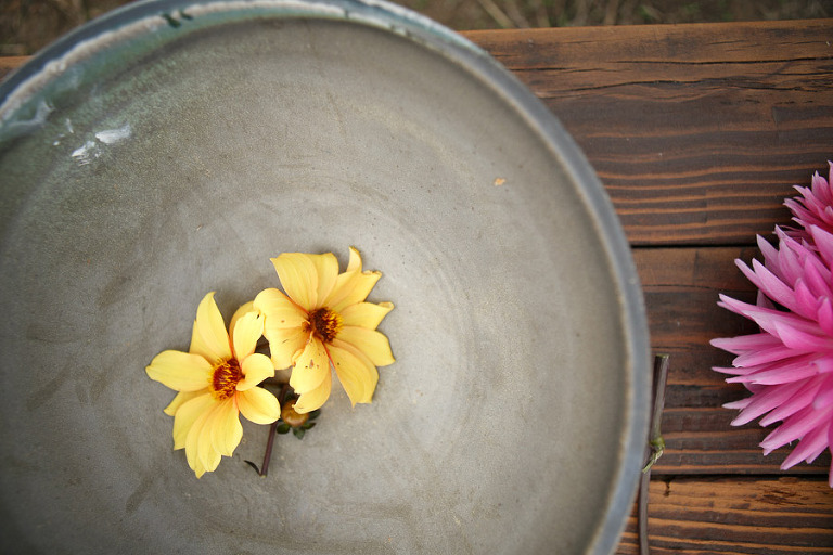 120-DundeeOregonPhotographer