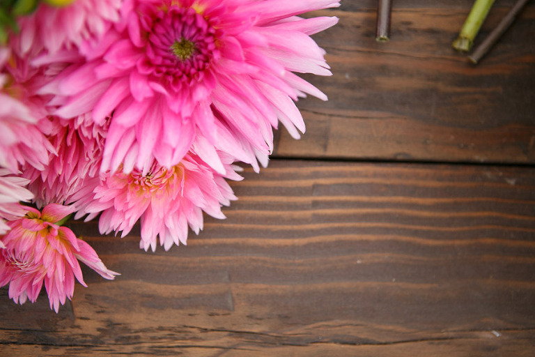 121-DundeeOregonPhotographer